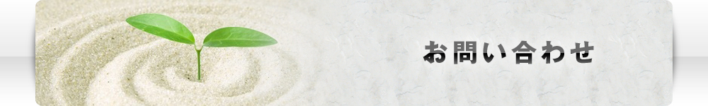 ���₢���킹 �b ������Ѓ��b�N�~���[�W�V����